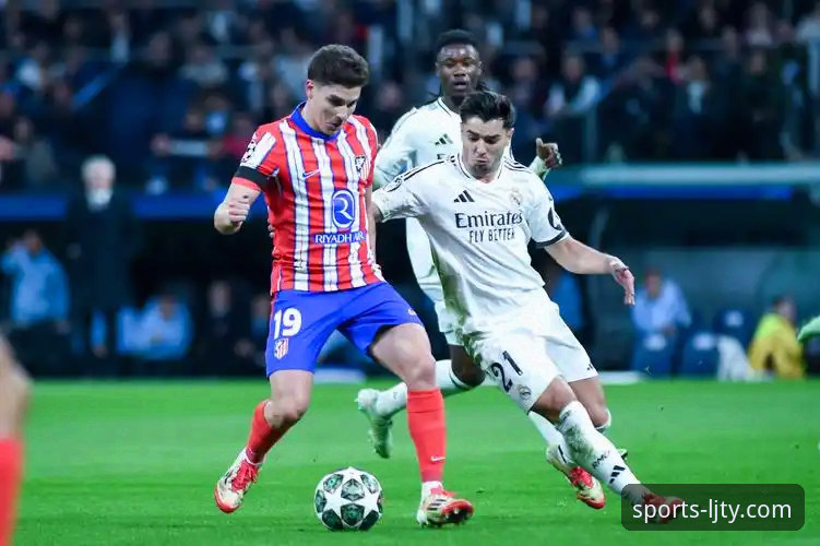 深度剖析：乐竞体育平台如何成为全球热门比赛直播优选的使用心得